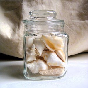 Polished Seashells Mini Jar Beachy Decor Anchor Hocking Always Summer